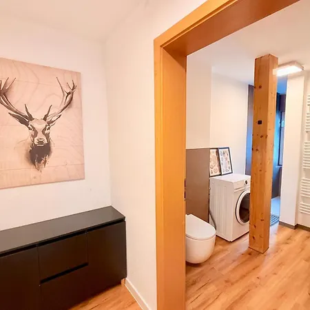 Dombergblick - Suhl, Stadtmitte Daire